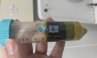 高速冷凍研磨均質儀對蔬菜樣品前處理實驗研磨效果
