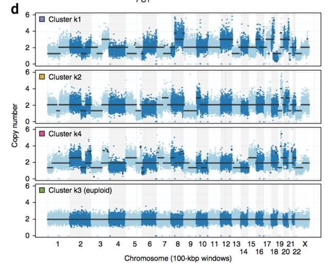 不使用微流控如何實現高通量測序單細胞基因組?