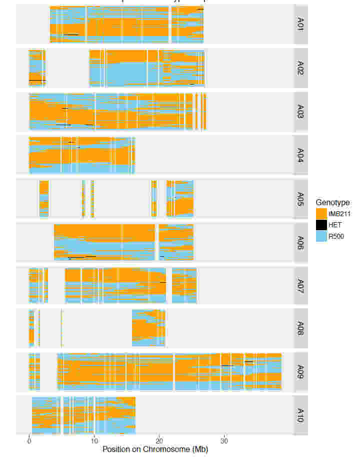 使用RNA-seq進(jìn)行基因組支架放置，校正裝配和遺傳圖譜創(chuàng)建